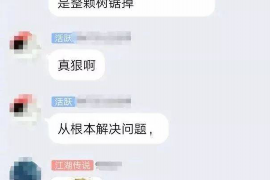 望江望江的要账公司在催收过程中的策略和技巧有哪些？